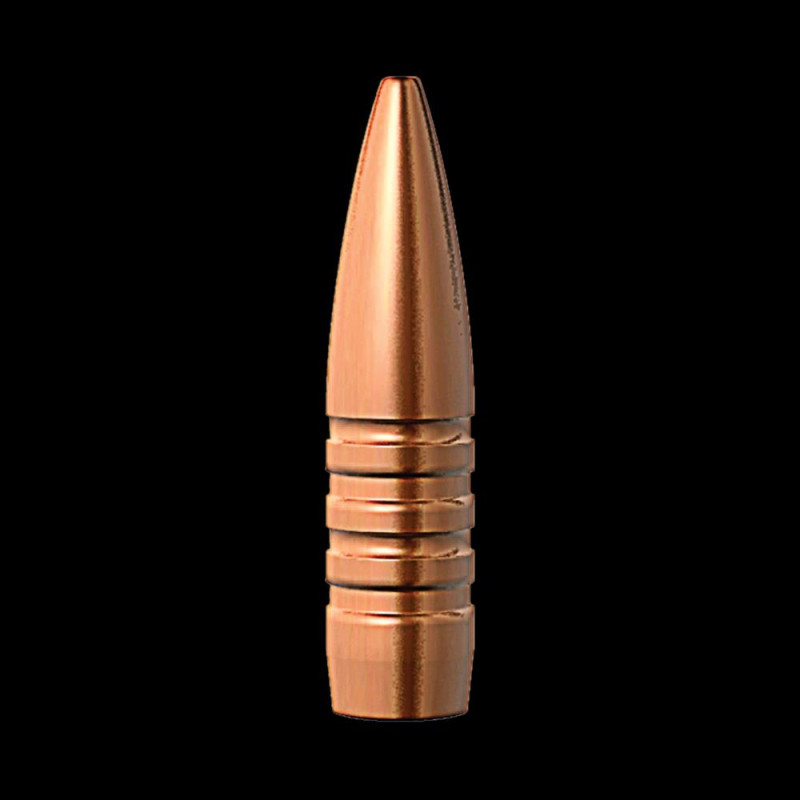 P 30 Cal (.308) 165Gr...