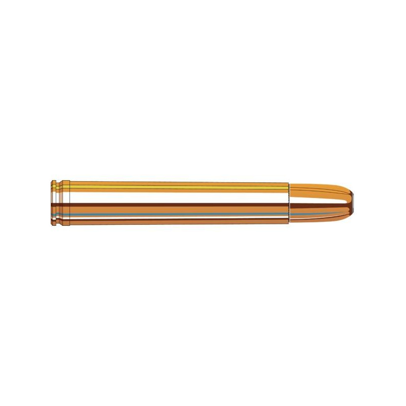 Ammo 458 Lott 500Gr Hornady...