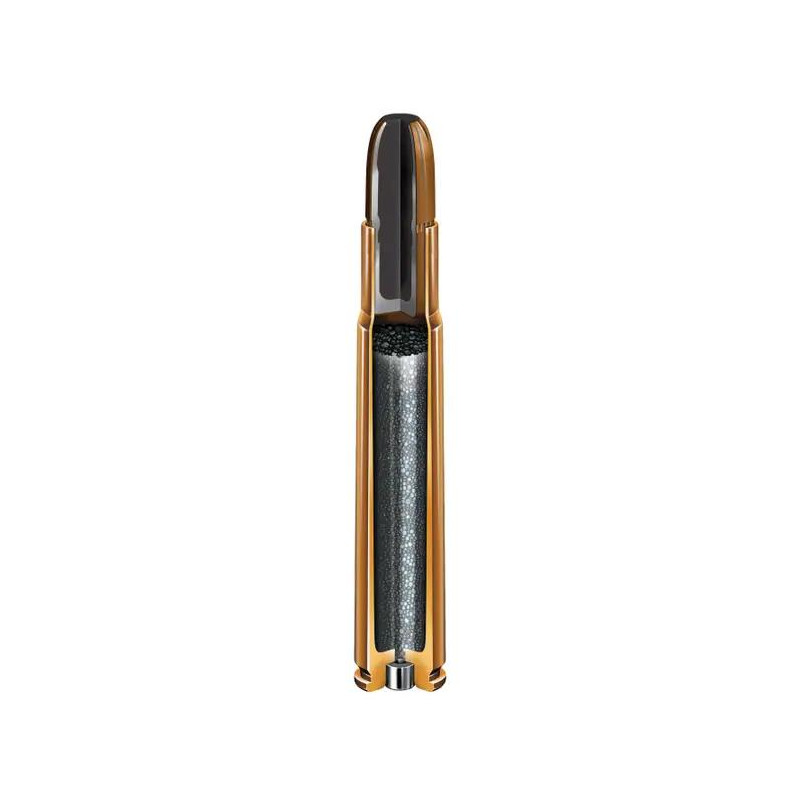 Ammo 470 NE 500Gr Hornady...