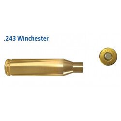 B 243 Win Lapua Cases 100's